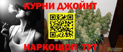 сатива Ленинск-Кузнецкий