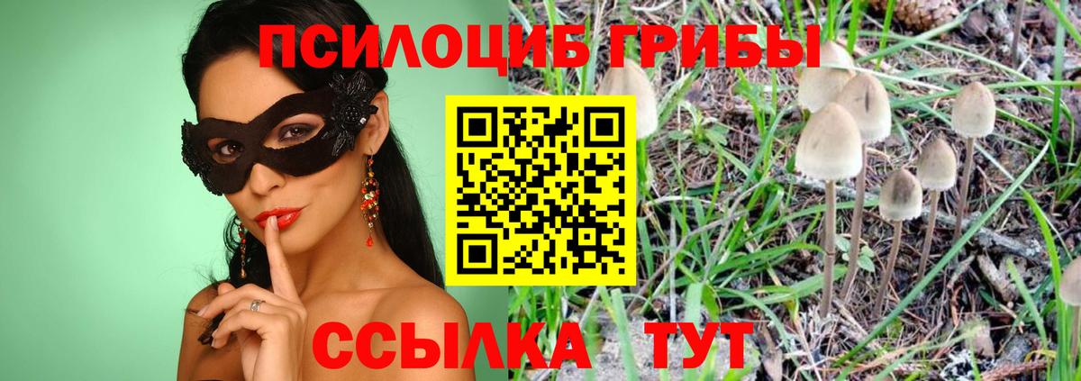 Галлюциногенные грибы мухоморы Вичуга